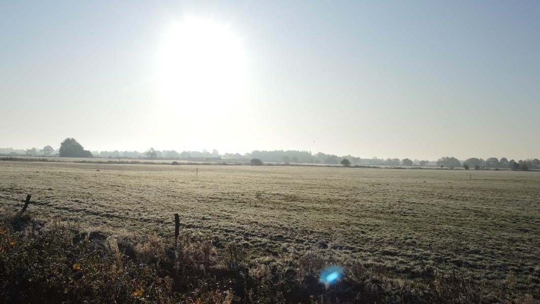 Tiefstehende Sonne über Etzeler Weideland an einem trockenen Morgen