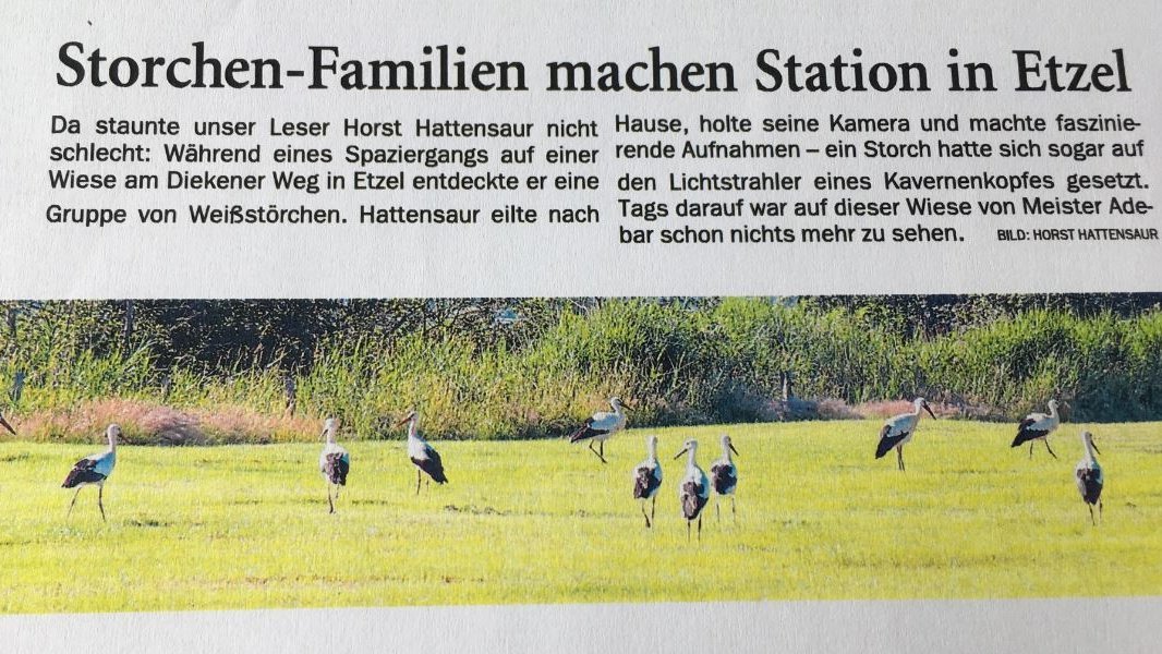 Zeitungsartikel in zwei regionalen Zeitungen.