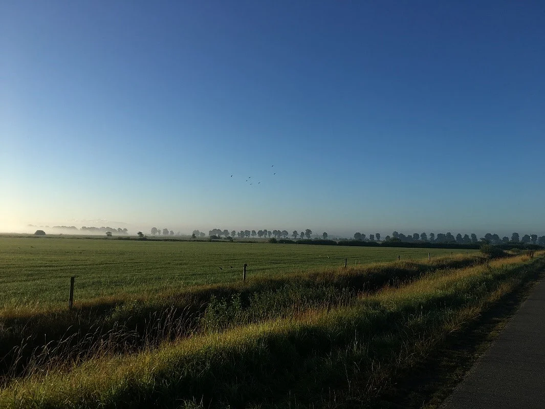 Das Bild zeigt erste Kavernenplätze der Kavernenanlage Etzel kommen in Sicht (nahe der Baumreihe).