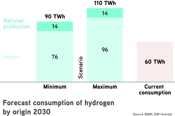 Current H2 demand and future import demand 