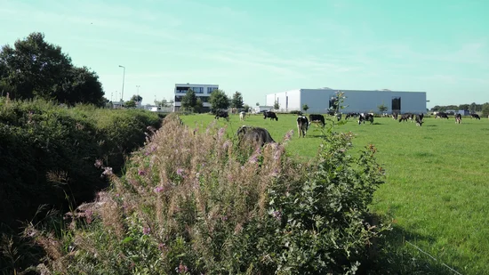 Surroundings of the cavern facility with a view of the administration building