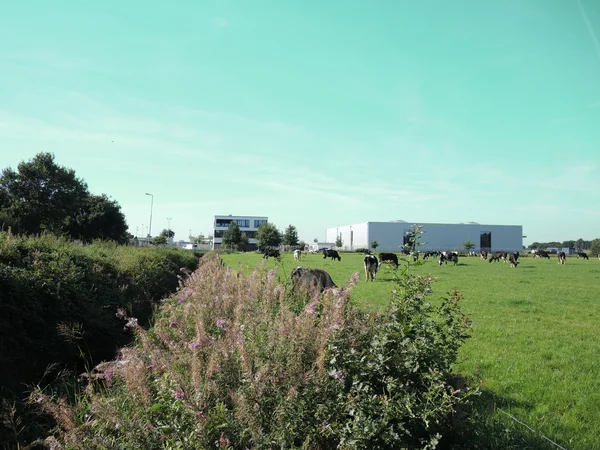 STORAG ETZEL Environment and surroundings of the administration building