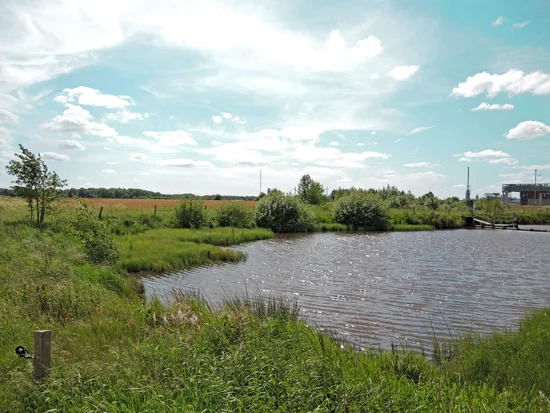 Rainwater retention basin