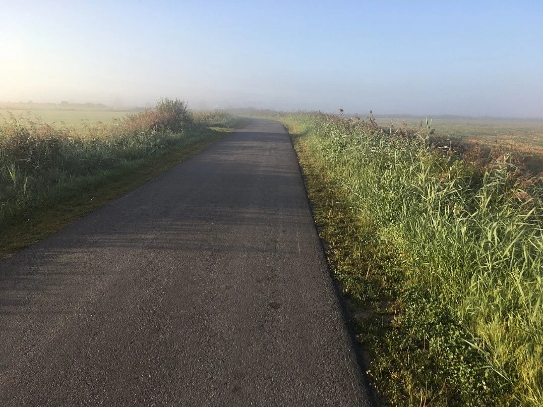 Am Anfang des Kleiwegs herrscht noch Bodennebel; hier heißt der Kleiweg offiziell noch Abickhafer Kleiweg