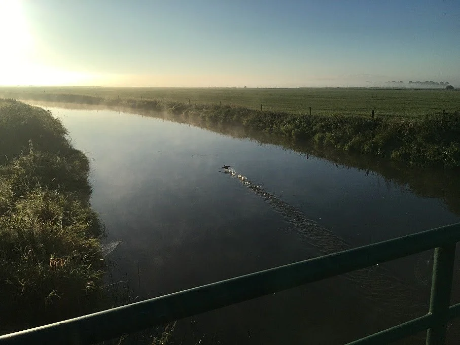 Das Foto zeigt, dass an der Mönkebrücke über das Friedeburger Tief der morgendliche Fahrradfahrer eine Ente aufscheucht 