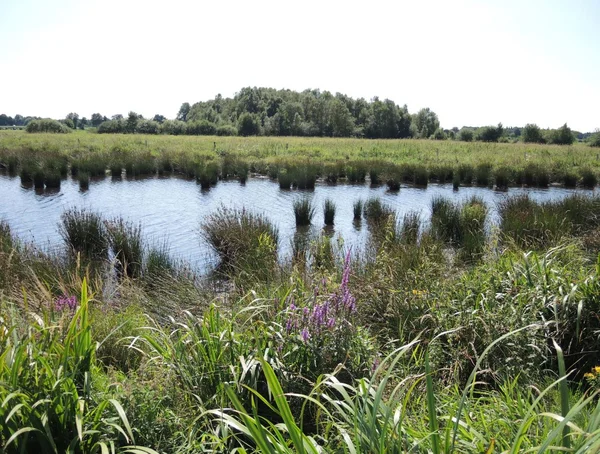 Regenwasserrückhaltebecken am Standort Etzel