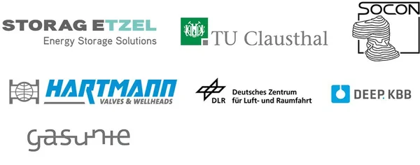 Partners of H2CAST