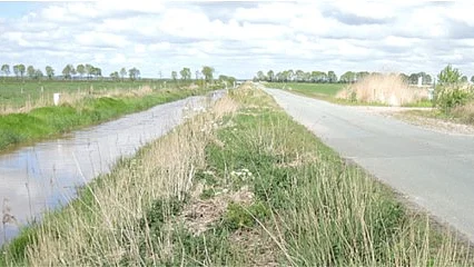 Bereich der Gemeindestraße "Am Kalbsschloot"