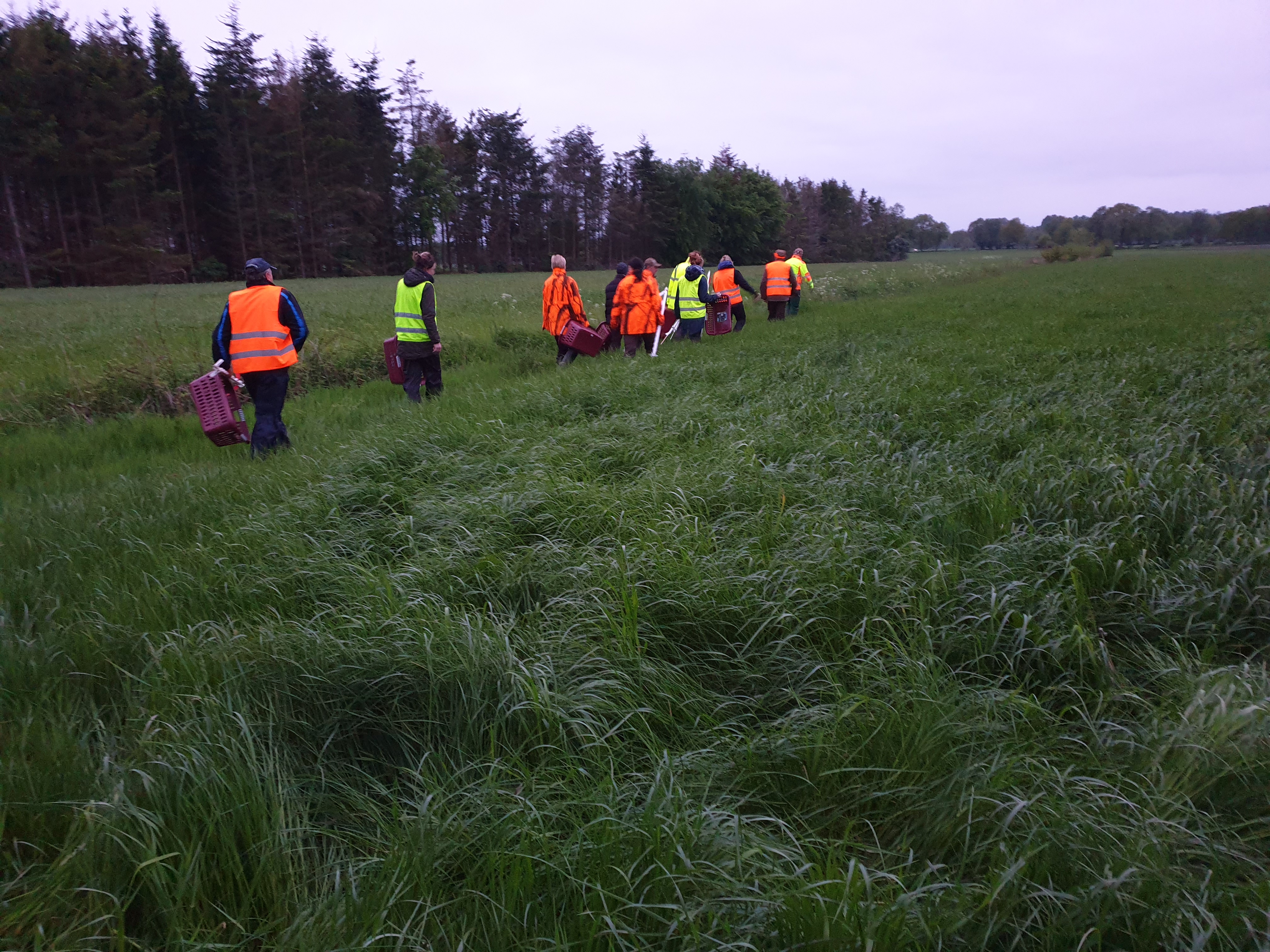Die Wildtierretter Horsten im morgendlichen Einsatz (Quelle: Wildtierretter Horsten)